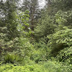 i know u hate me (feat. acai & se7en)