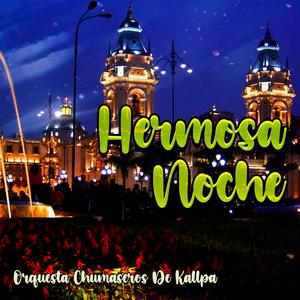 Hermosa Noche