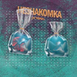 Незнакомка