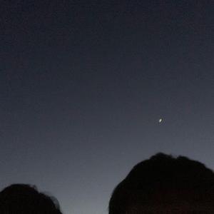 真话（prod:by furyl&4_Chords）