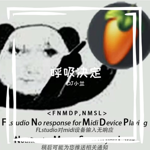 Fine乐团 - 呼吸决定（DJ小兰 remix）