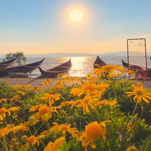 你也像个傻子一样爱他