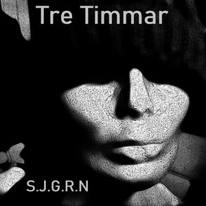 Tre timmar
