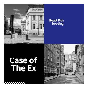 Case of The Ex (RoastFish bootleg)