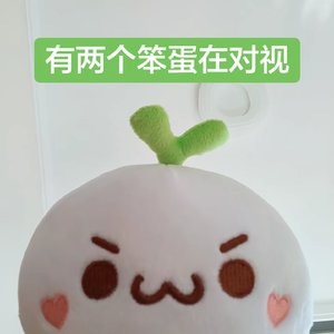 你把我当过客 我把你当归人