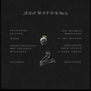 Snowstorms (feat. Gold Synagogue)