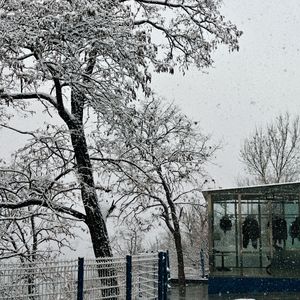 我寄人间雪一封