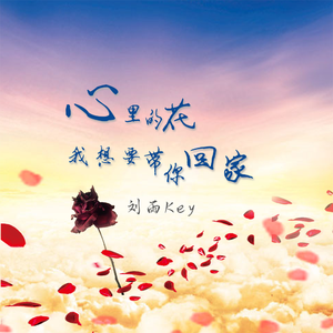 心里的花 我想要带你回家