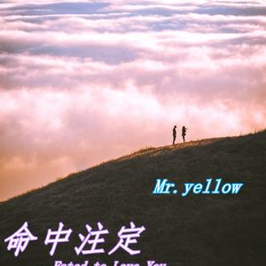 命中注定我爱你 伴奏