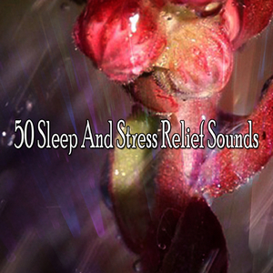 Garden Of Peace and Nature