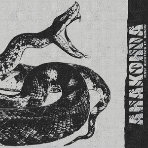 Анаконда (feat. NUKOW)