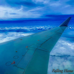 Falling Home