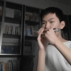 梦中的婚礼 半音阶口琴