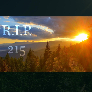Rip 215