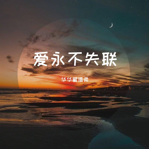 永不失联的爱（温柔版）