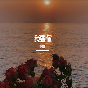 我要你.wav