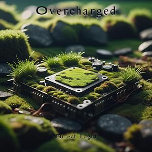 Overcharged
