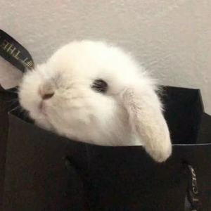 孤单