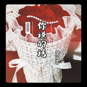 你说的话DEMO