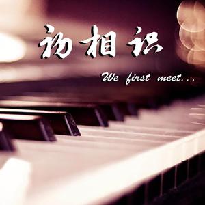 矢野立美-人类之光 • 愛のテーマ（迪迦奥特曼ost）（up初相识 remix）