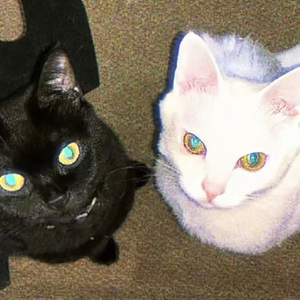 魔鬼還是天使 i don t ****in care