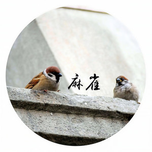 麻雀(钢琴版)