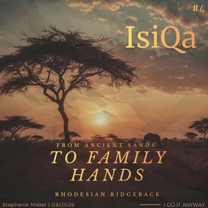 Rhodesian Ridgeback (IsiQa)