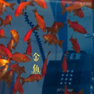 金鱼（PROD BY GOAT CREW）