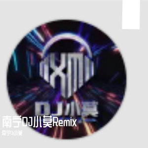 南宁DJ小莫Remix-整曲