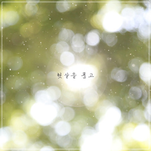 고요히 떨어지는