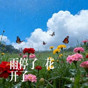雨停了 花开了