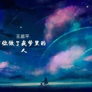 你做了我梦里的人