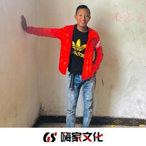 愿岁月无可回顾（DJ版）