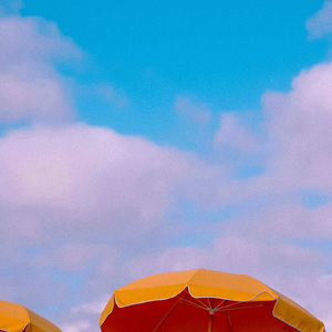 Dreaming On The Lake