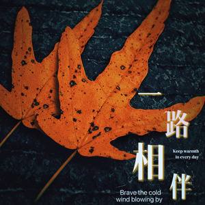 一路相伴