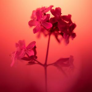 爱到尽头（撕心裂肺）