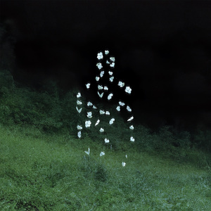 A Hectare to Roam (feat. Kinnship)