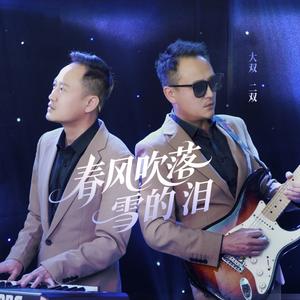 春风吹落雪的泪