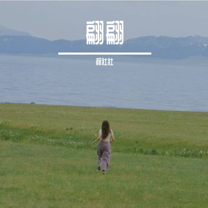 惊鸿一瞥