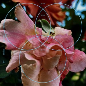 Baby (Ariel Zetina Remix)