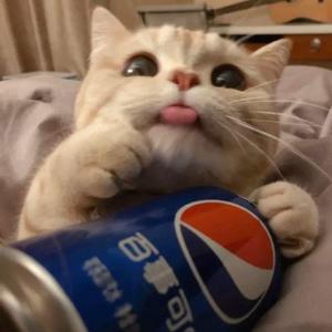 爱情教会我们的事cover周兴哲