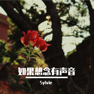 如果想念有声音