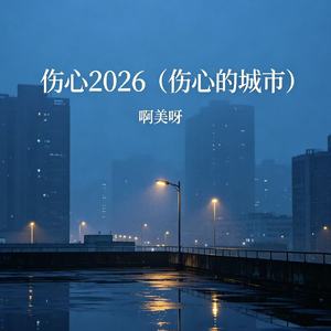伤心2026(伤心的城市）