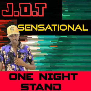 One Night Stand