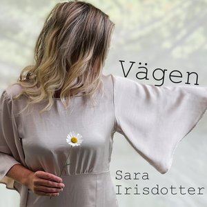 Vägen