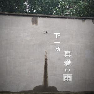 下一场真爱的雨