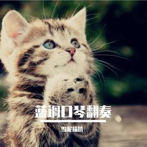 蓝调口琴 认真地老去（cover 万茜）（翻自 姐姐的爱乐之程）