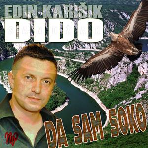 Da sam soko