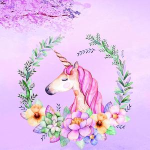 中了魔法的傻瓜