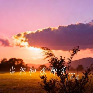 当然知道那不是我的月亮 (Cover 王佳音)